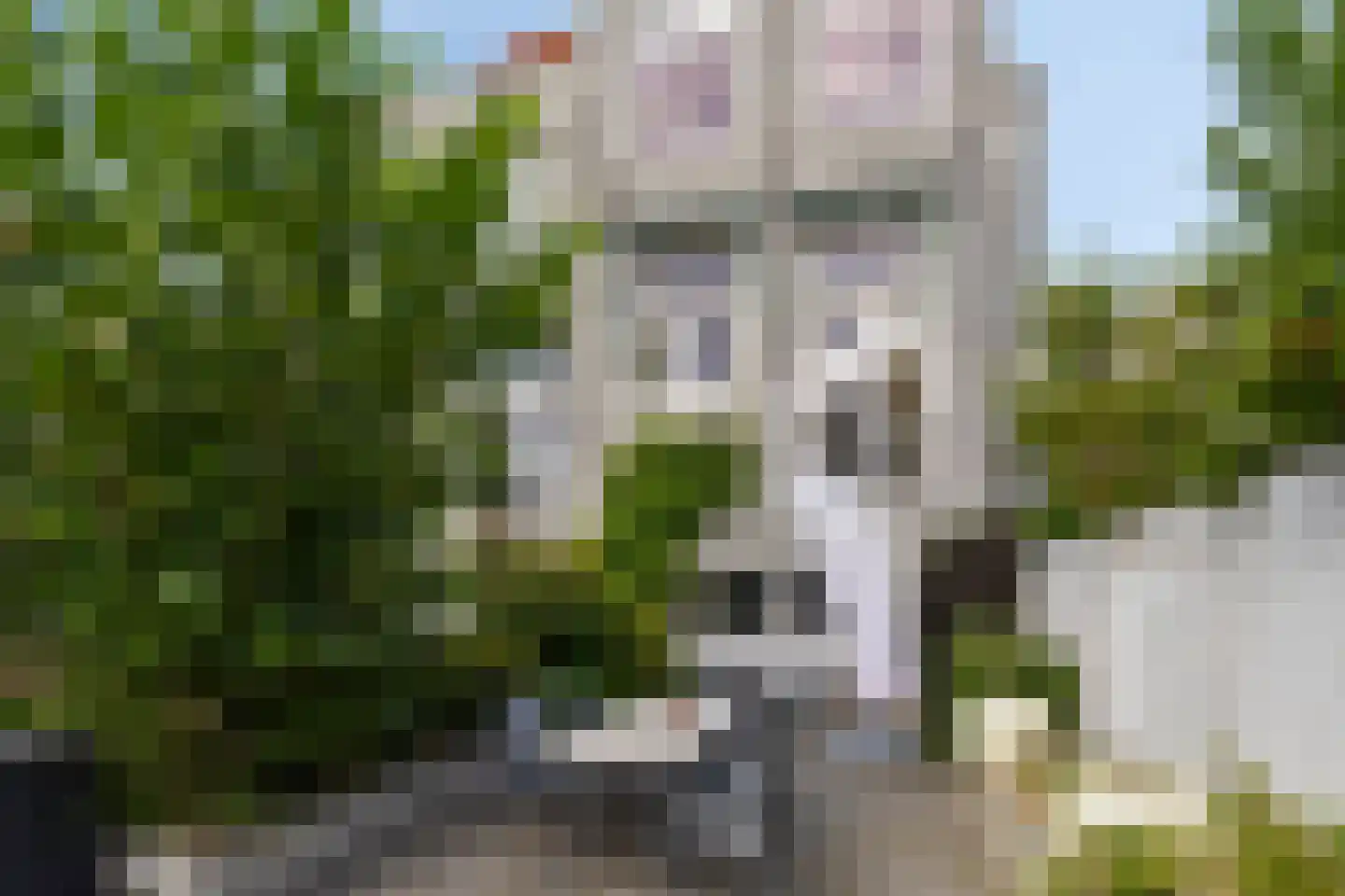 Havenpark 6 Zierikzee thumbnail 29