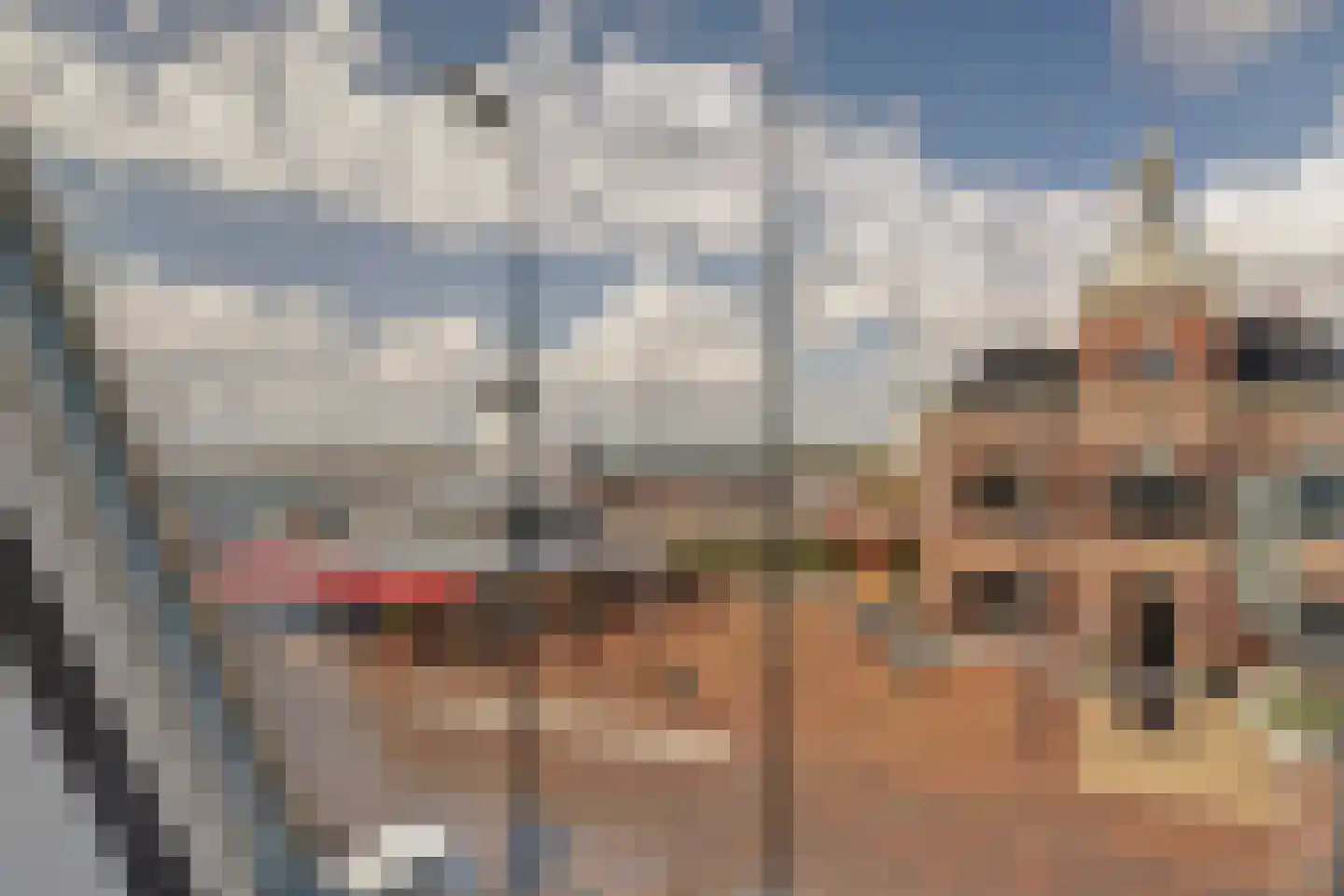 Havenplein 10 A Harlingen thumbnail 31