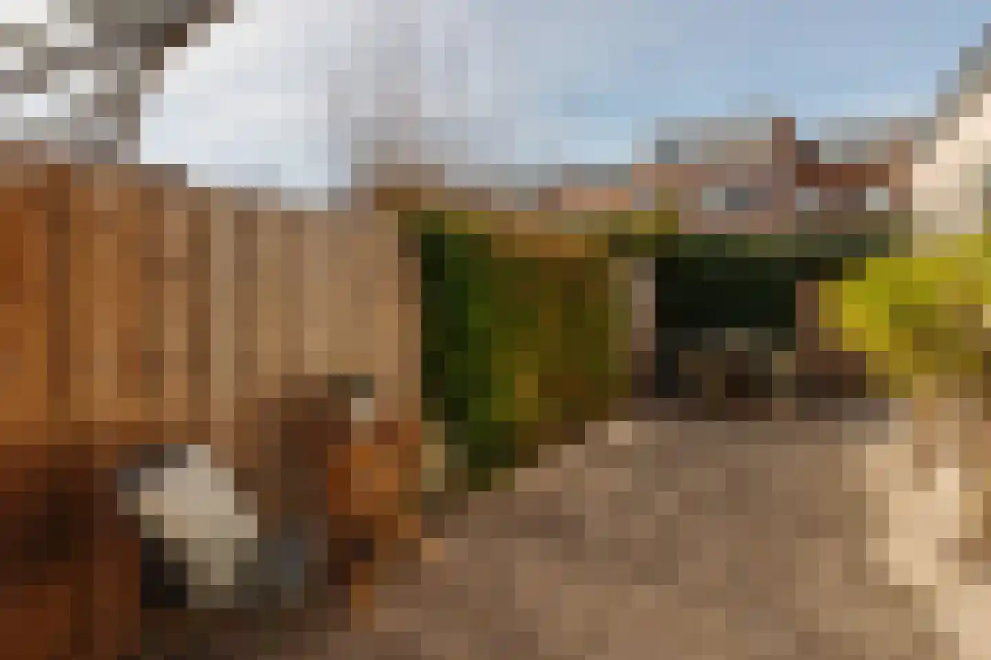 Havenplein 11 Wassenaar thumbnail 19
