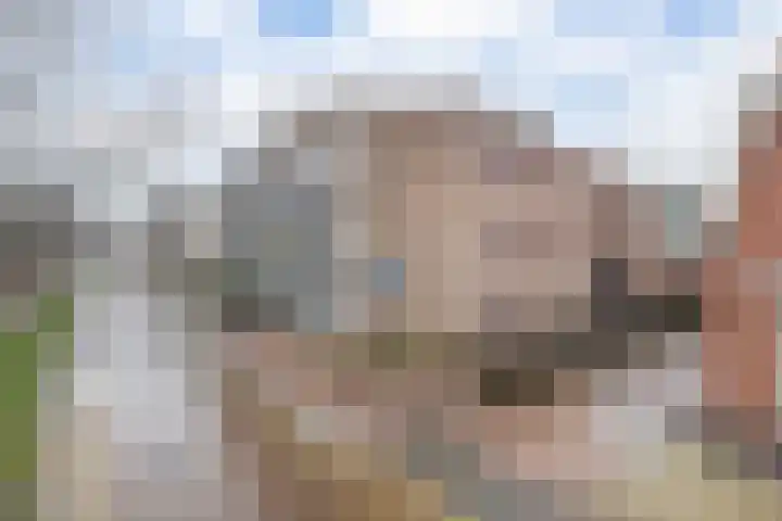 Havenplein 20 Musselkanaal thumbnail 6