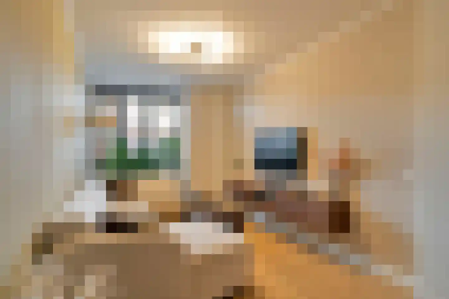 Havenplein 3 E Naaldwijk thumbnail 7