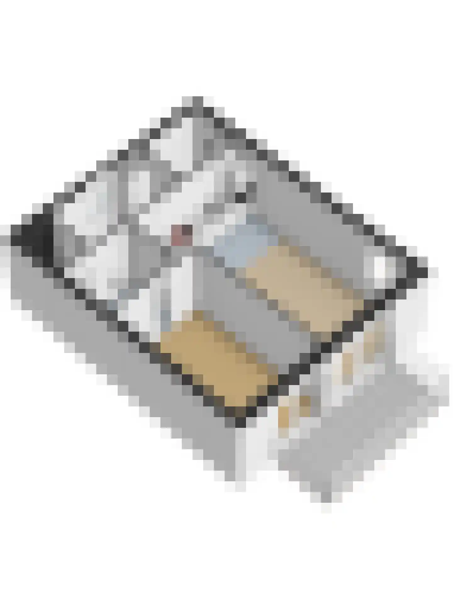Havenplein 42 Sint-Annaland thumbnail 41