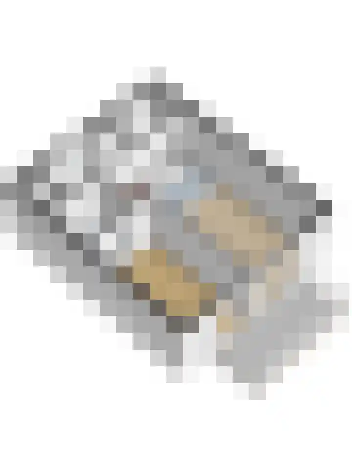 Havenplein 44 Sint-Annaland thumbnail 35