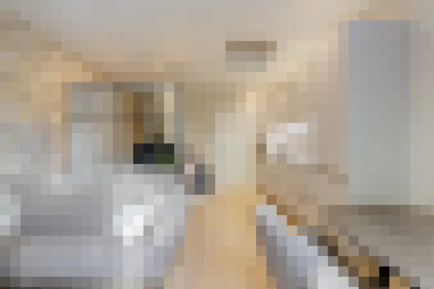 Havenplein 5 F Naaldwijk thumbnail 17