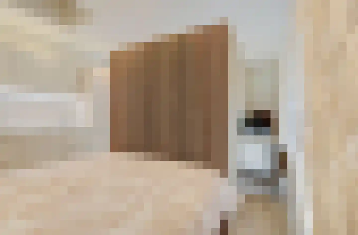 Havenplein 5 F Naaldwijk thumbnail 21