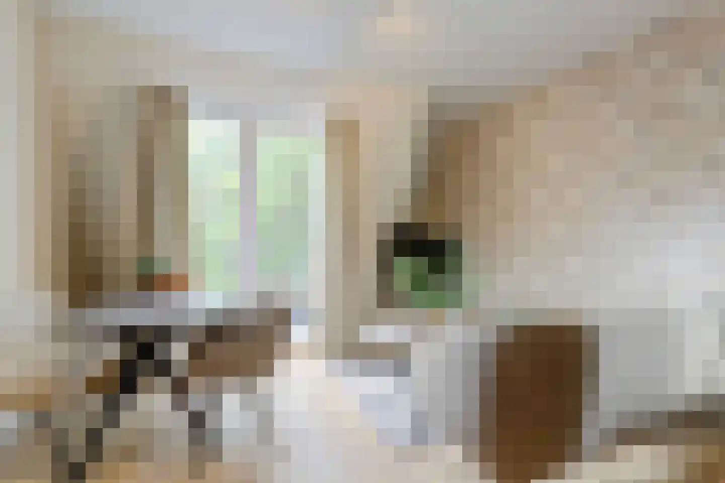 Havenplein 5 F Naaldwijk thumbnail 4
