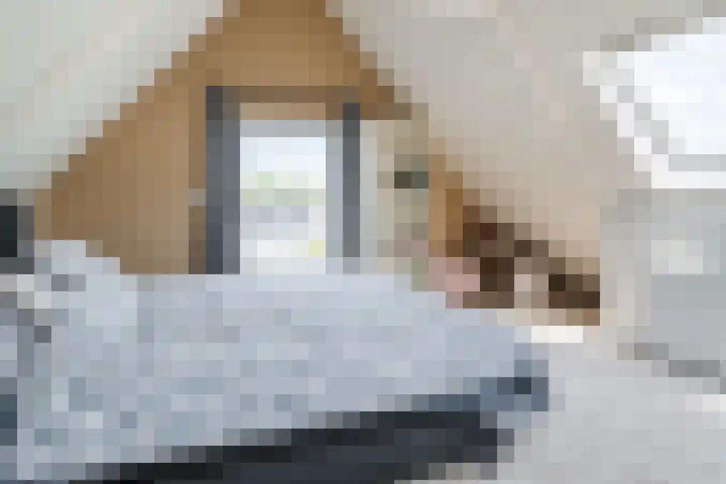 Havenplein 6 Broek op Langedijk thumbnail 34