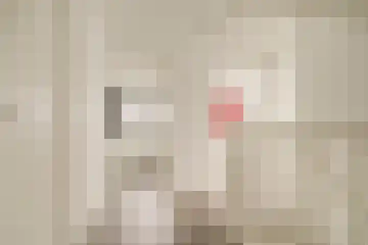 Havenplein 9 Broek op Langedijk thumbnail 21
