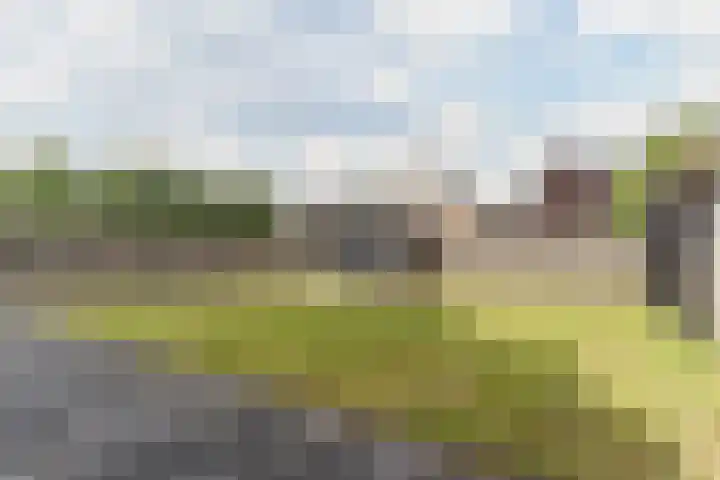 Havenplein 9 Broek op Langedijk thumbnail 38