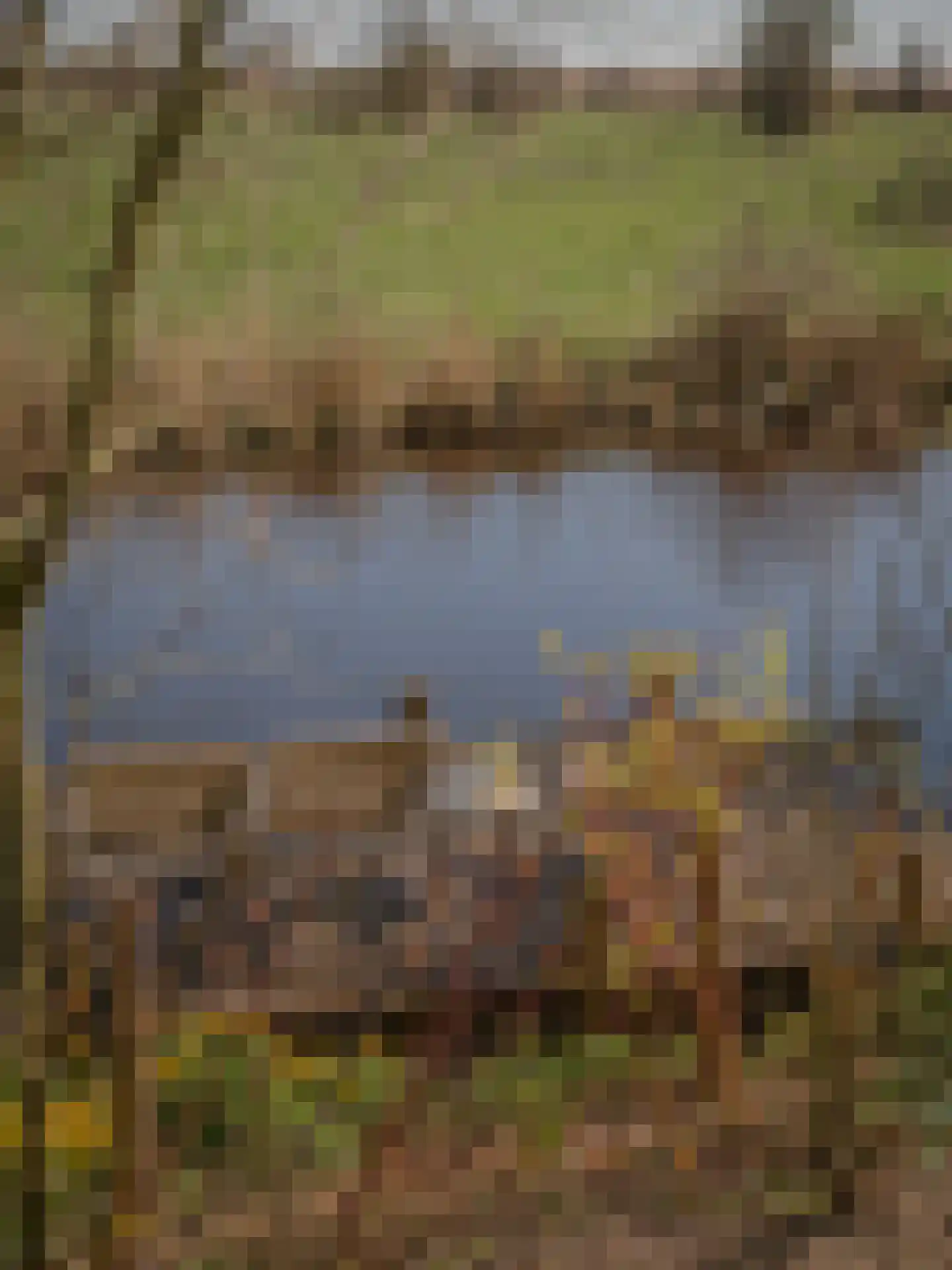 Havenpolder 6 Aardenburg thumbnail 37