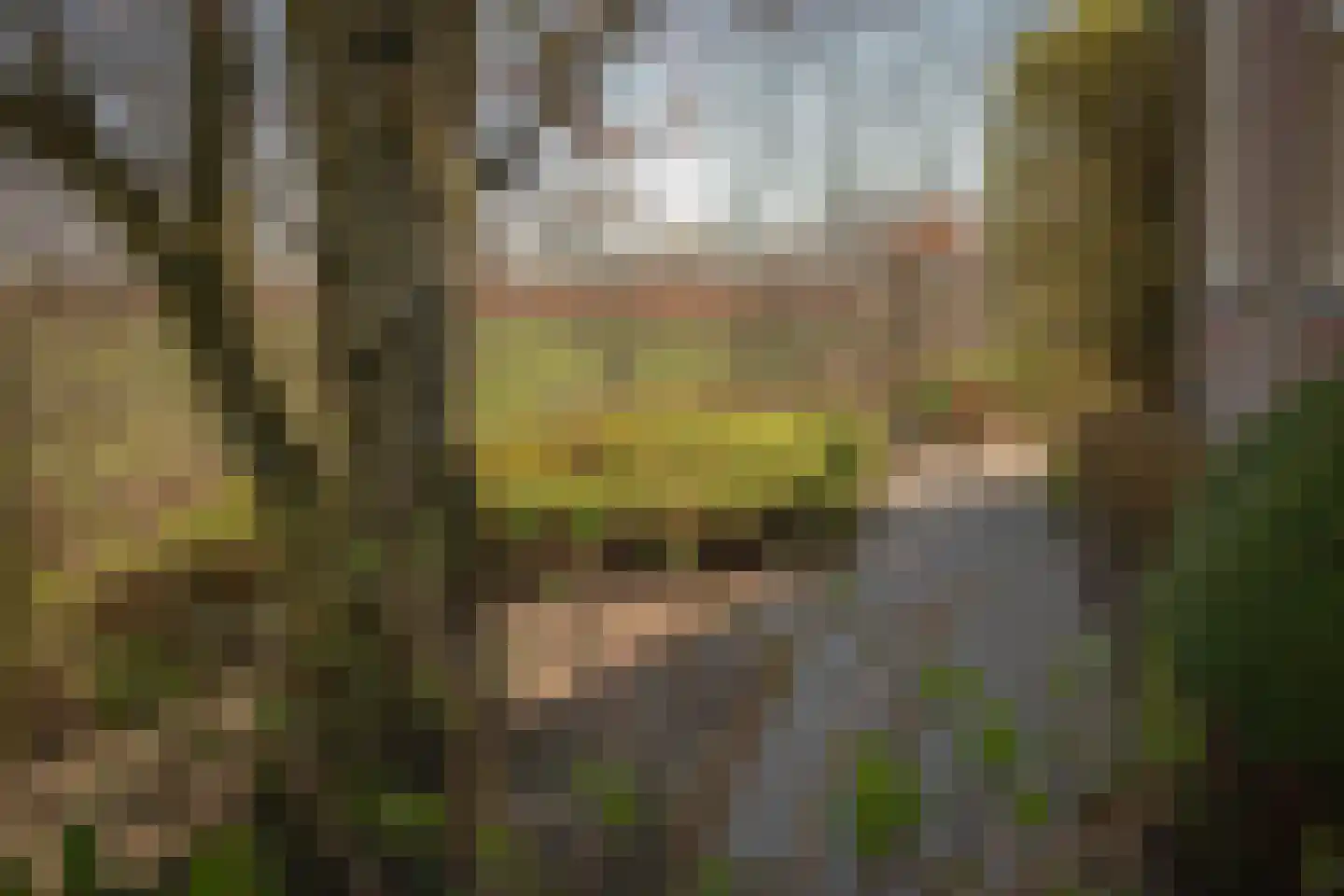 Havenpolder 6 Aardenburg thumbnail 39