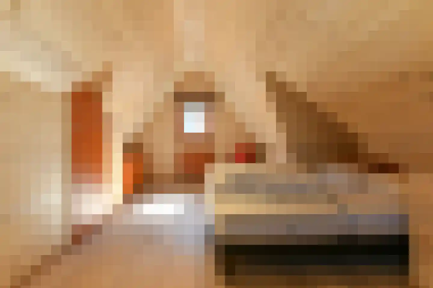 Havenpolder 6 Aardenburg thumbnail 43