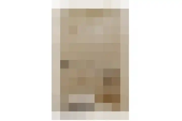 Havenpoort 7 Sassenheim thumbnail 16