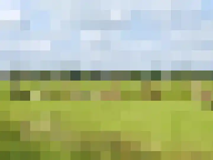 Havenrak 21 B Broek in Waterland thumbnail 9