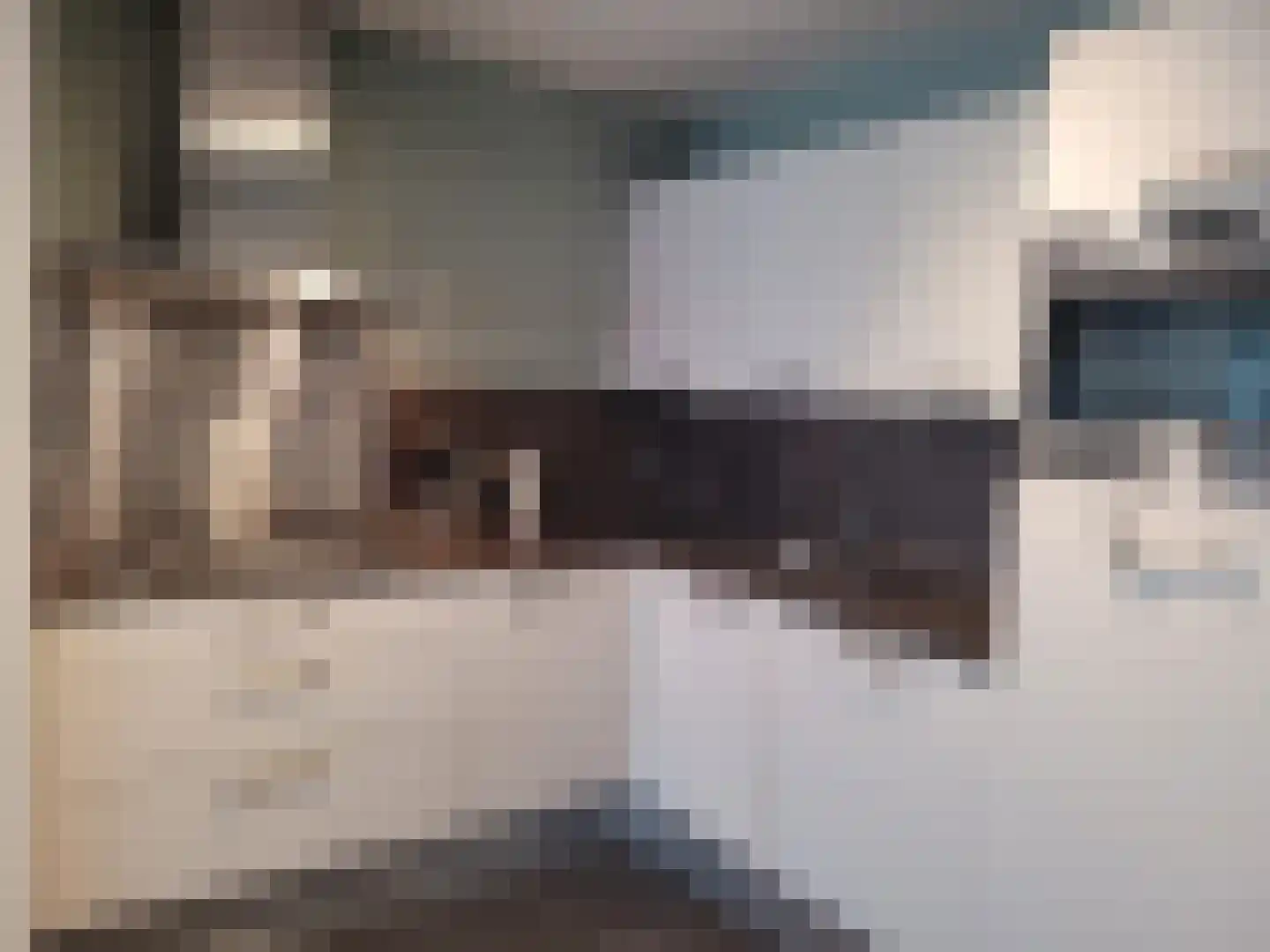 Havensingel 104 Eindhoven thumbnail 17