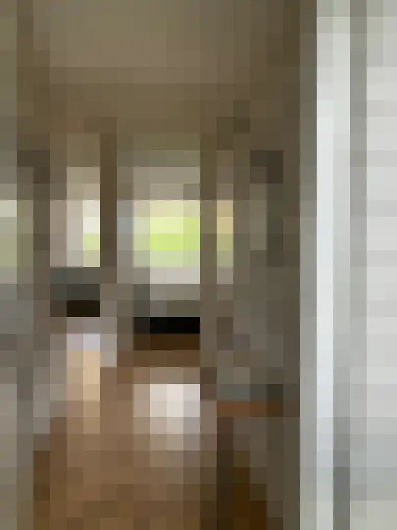 Havensingel 104 Eindhoven thumbnail 9