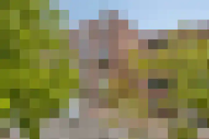 Havensingel 114 Eindhoven thumbnail 28