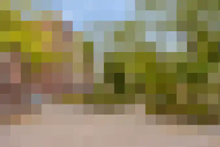 Havensingel 114 Eindhoven thumbnail 30