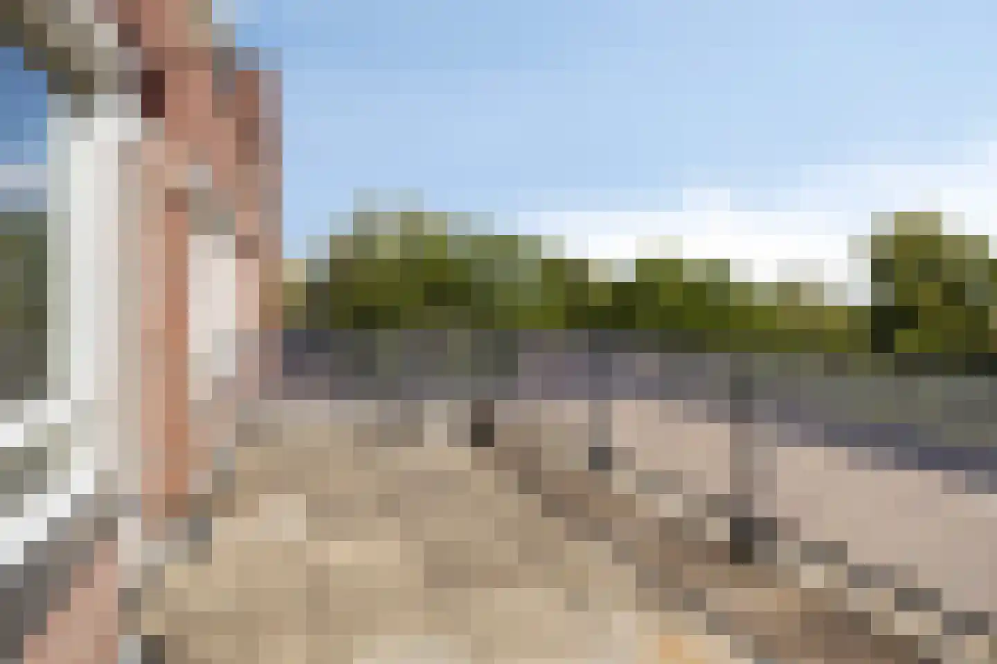 Havensingel 160 Eindhoven thumbnail 20