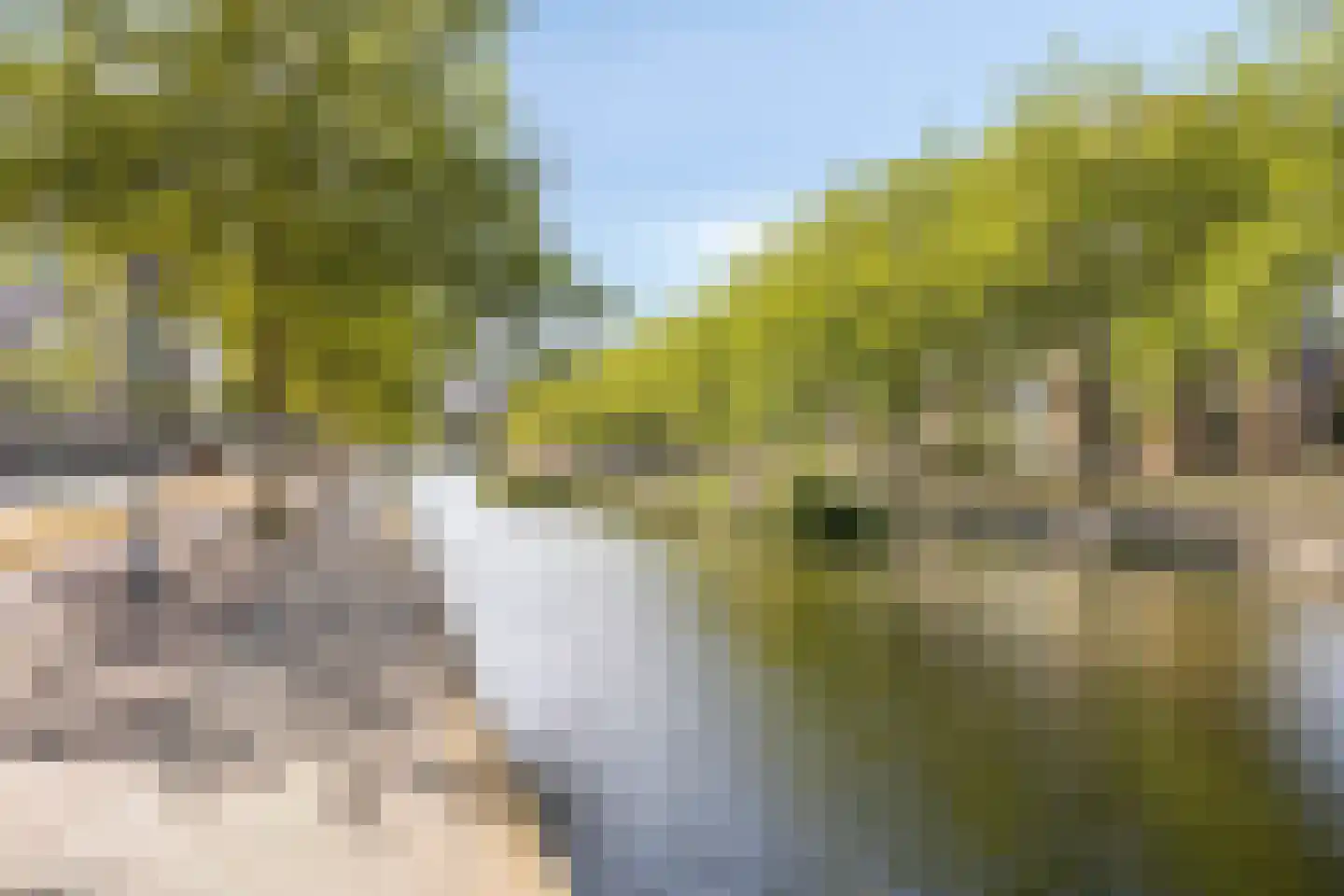 Havensingel 160 Eindhoven thumbnail 33