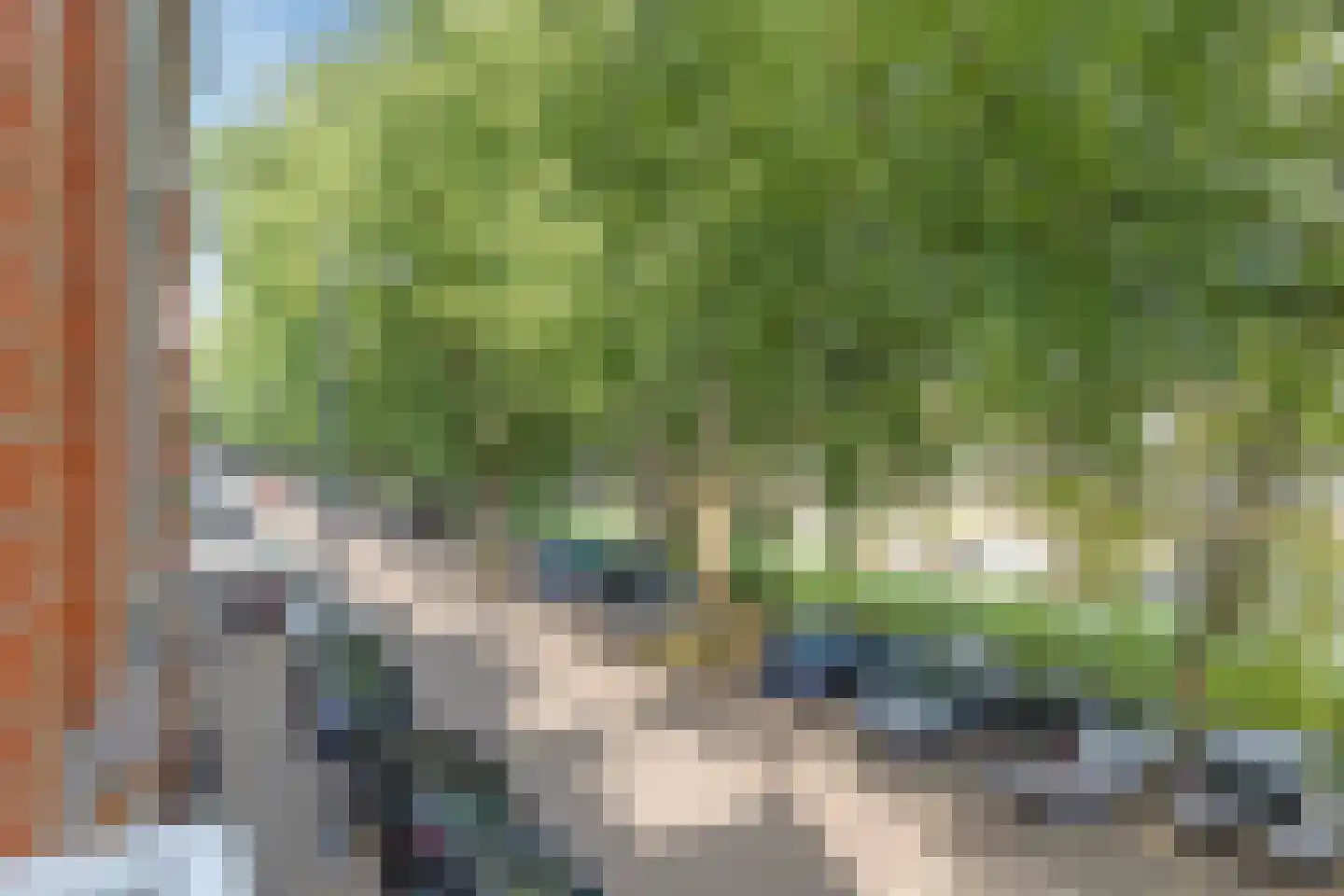 Havensingel 18 B 's-Hertogenbosch thumbnail 13