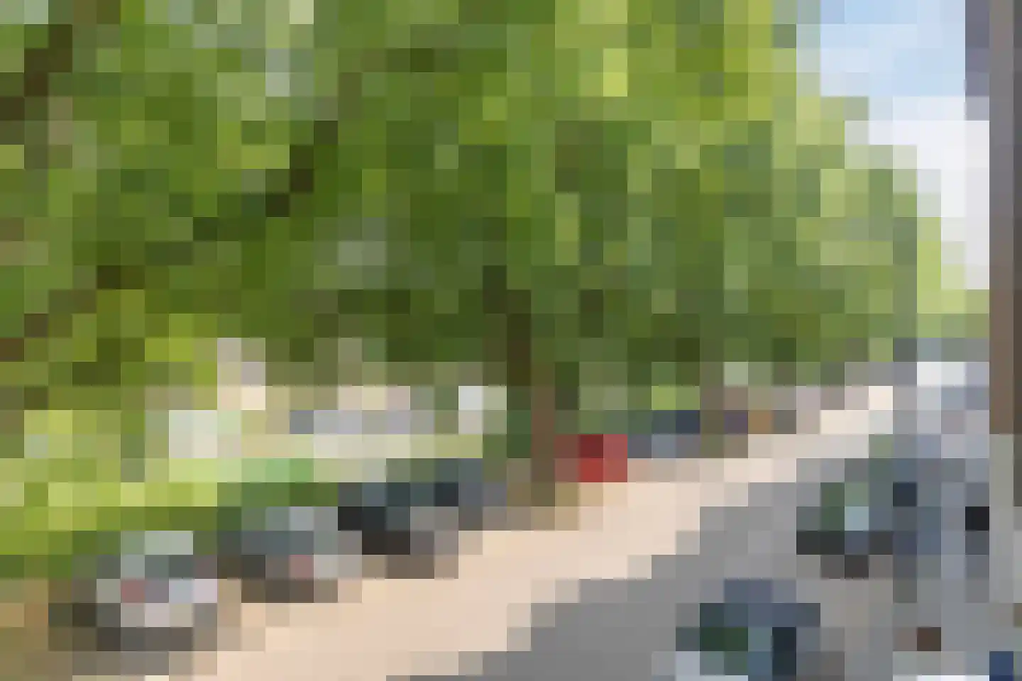 Havensingel 18 B 's-Hertogenbosch thumbnail 4