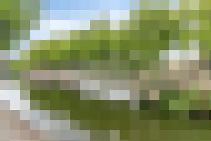 Havensingel 212 Eindhoven thumbnail 24
