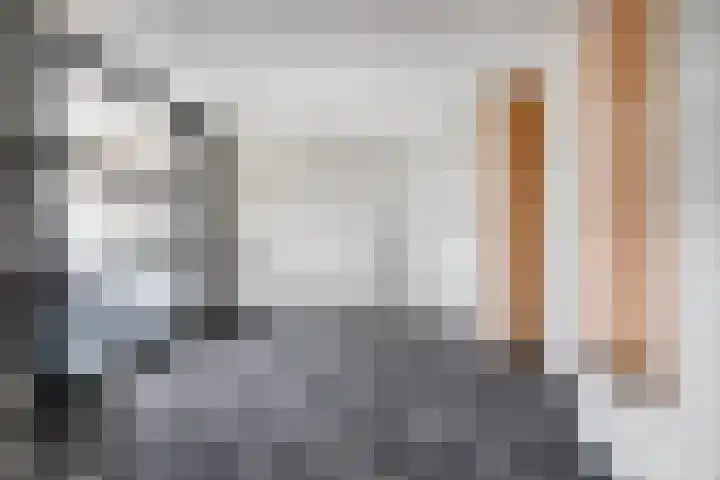 Havensingel 212 Eindhoven thumbnail 5