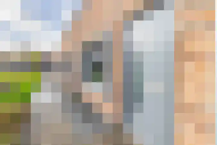 Havensingel 248 Eindhoven thumbnail 10
