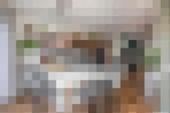 Havensingel 248 Eindhoven thumbnail 30