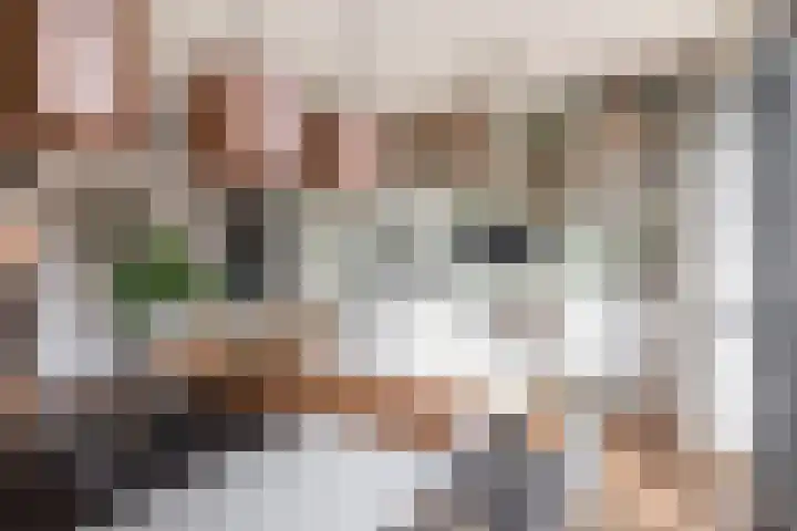 Havensingel 248 Eindhoven thumbnail 31