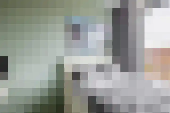 Havensingel 248 Eindhoven thumbnail 40