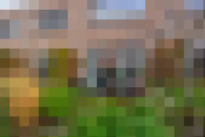 Havensingel 248 Eindhoven thumbnail 50