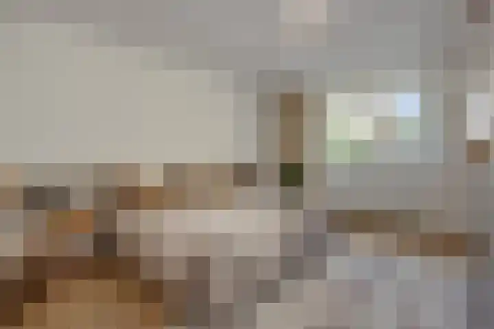 Havensingel 34 's-Hertogenbosch thumbnail 18