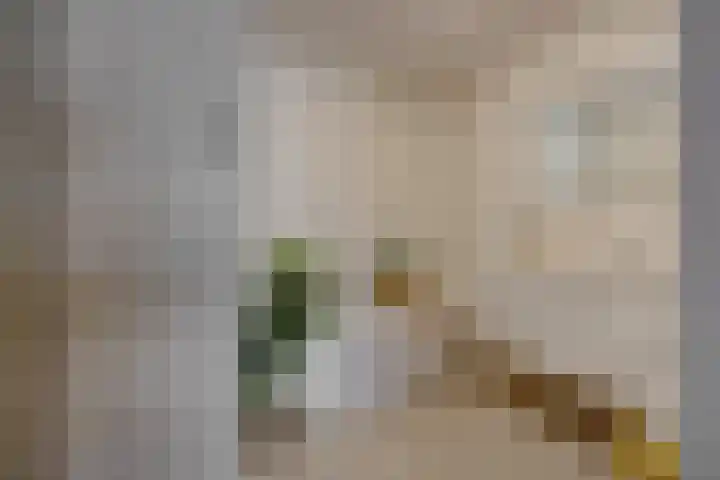 Havensingel 34 's-Hertogenbosch thumbnail 21