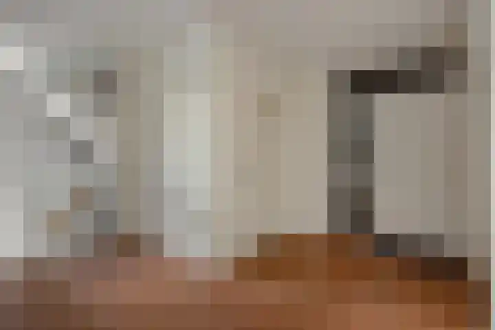 Havensingel 34 's-Hertogenbosch thumbnail 6