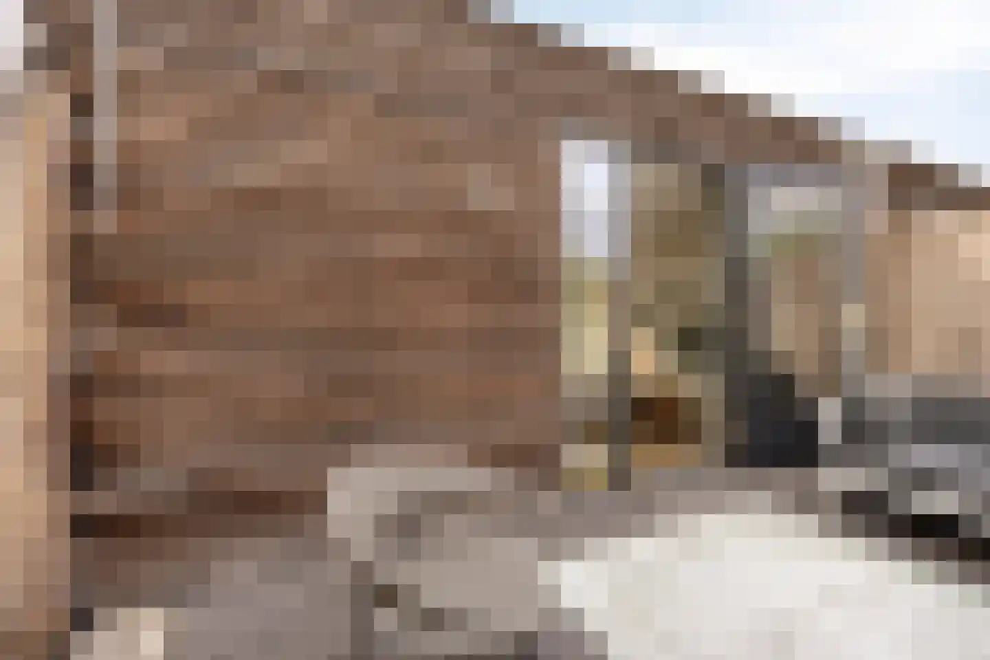 Havensingel 45 Eindhoven thumbnail 45