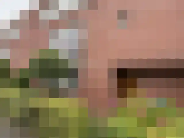 Havensingel 45 Eindhoven thumbnail 5