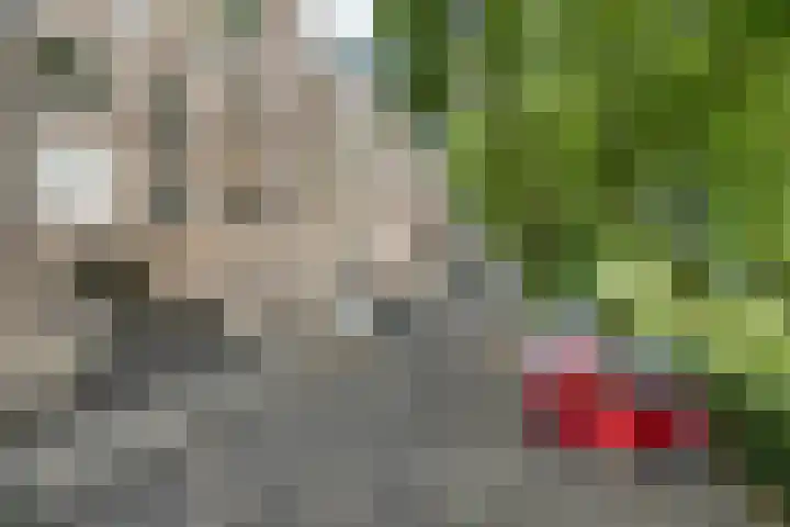 Havensingel 53 's-Hertogenbosch thumbnail 10