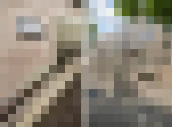 Havensingel 53 's-Hertogenbosch thumbnail 12