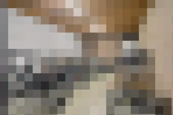 Havensingel 53 's-Hertogenbosch thumbnail 37