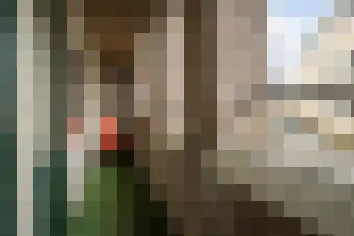 Havensingel 53 's-Hertogenbosch thumbnail 38