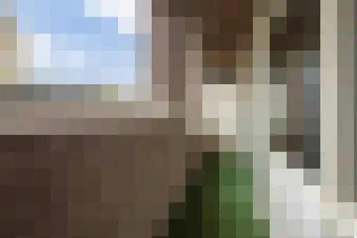 Havensingel 53 's-Hertogenbosch thumbnail 39