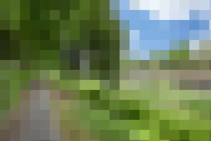 Havensingel 53 's-Hertogenbosch thumbnail 45