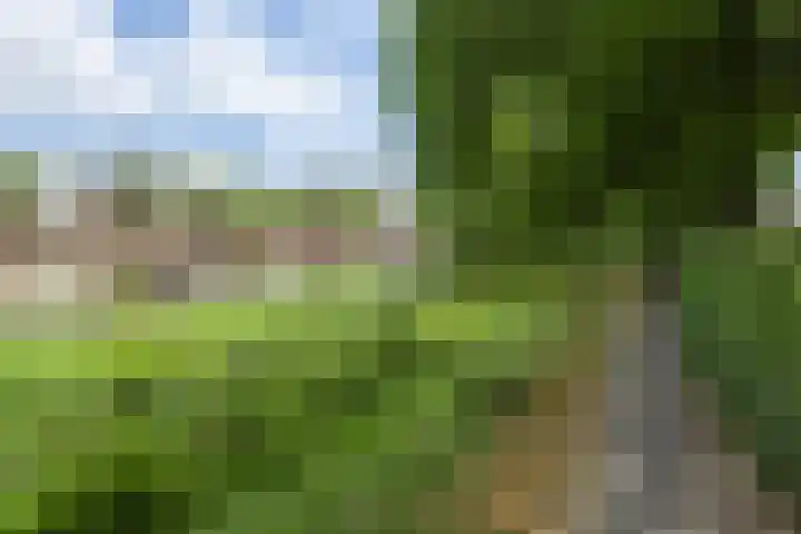 Havensingel 53 's-Hertogenbosch thumbnail 46