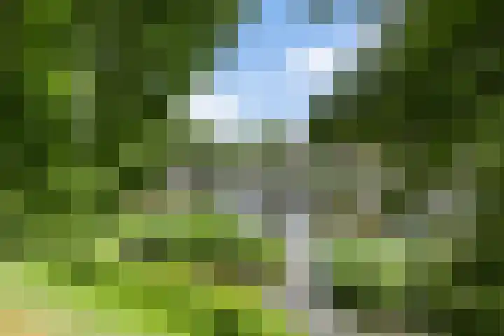 Havensingel 53 's-Hertogenbosch thumbnail 47