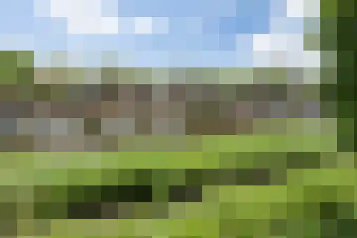 Havensingel 53 's-Hertogenbosch thumbnail 48