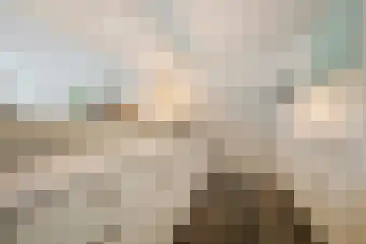 Havensingel 53 's-Hertogenbosch thumbnail 5