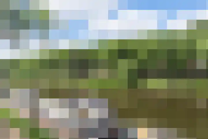 Havensingel 53 's-Hertogenbosch thumbnail 50