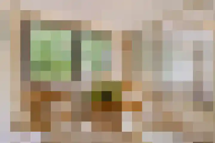 Havensingel 53 's-Hertogenbosch thumbnail 6